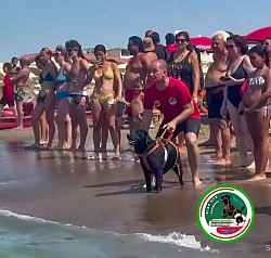 25 luglio lido azzurro